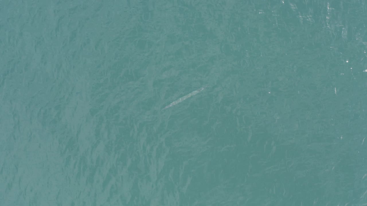 Overhead view of teal water in Baja California Sur Mexico with a faint long fish-like shape near the left side and no visible people.
