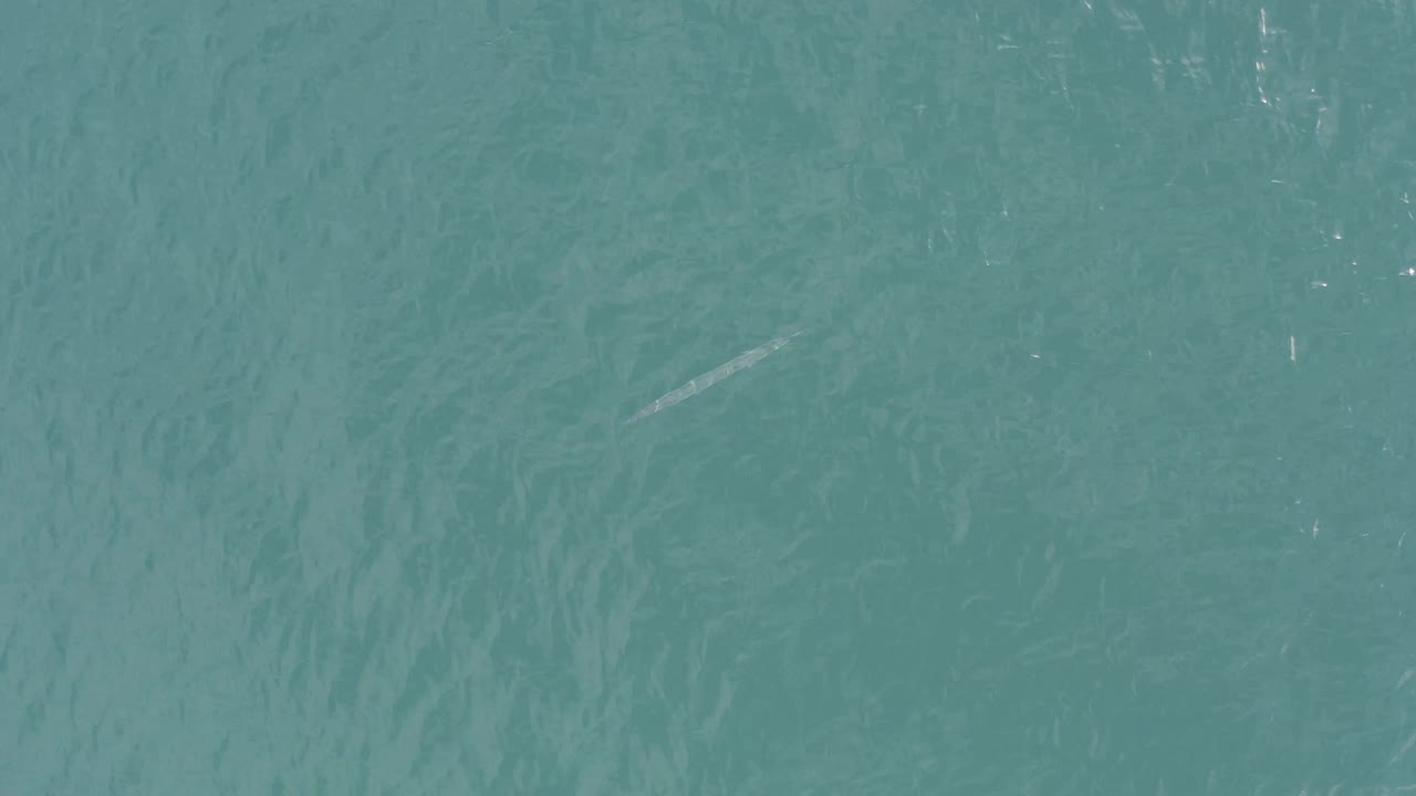 Aerial frame over Baja California Sur Mexico water where the pale elongated underwater form sits higher in the composition, with no visible people.