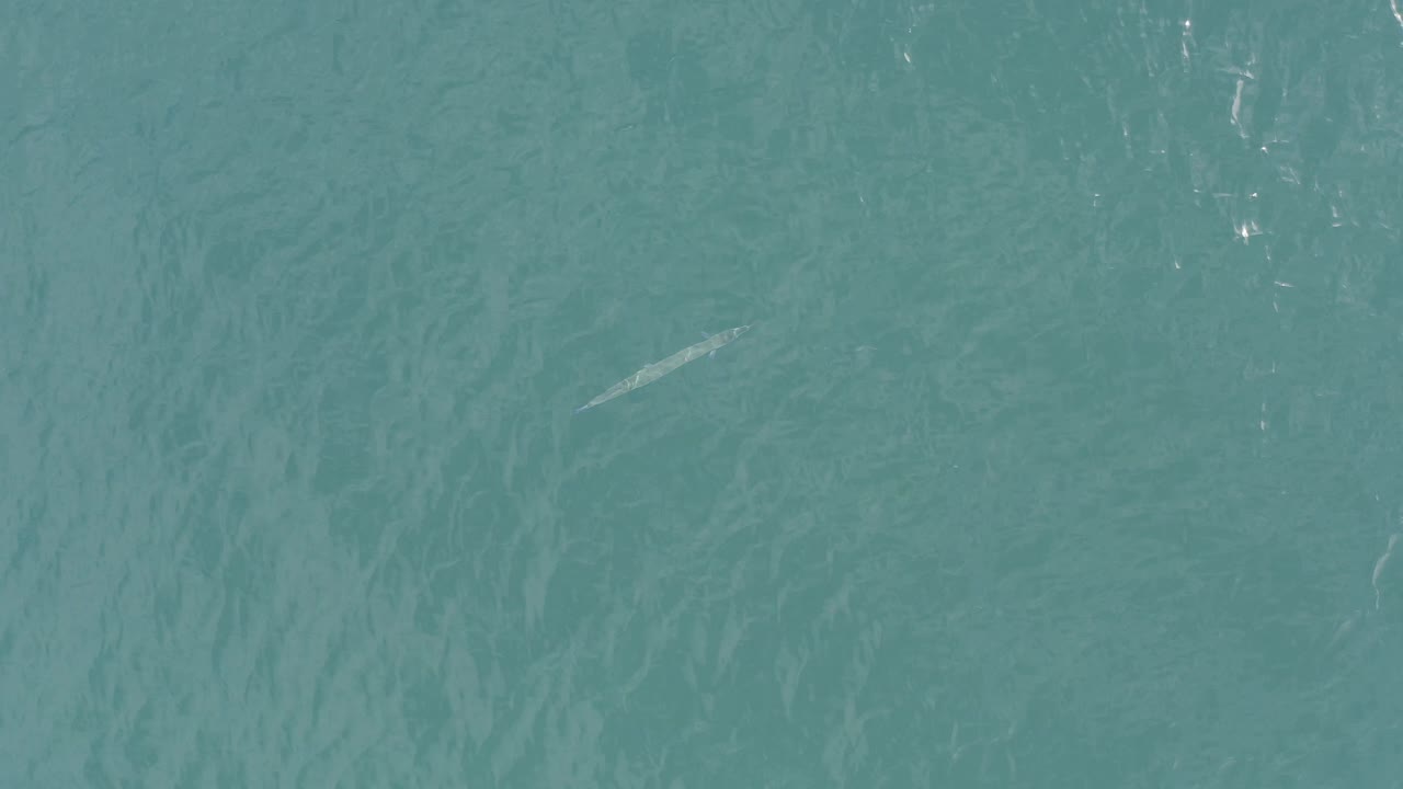 Top-down Baja California Sur Mexico ocean frame with a narrow pale underwater shape near the right side and no visible people.