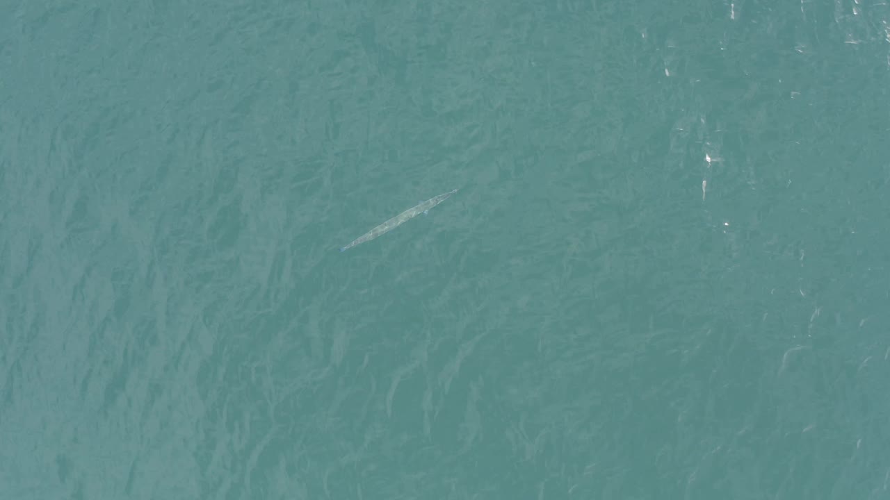 Aerial view of Baja California Sur Mexico water with the faint fish-like form lower left amid soft surface ripples and no visible people.