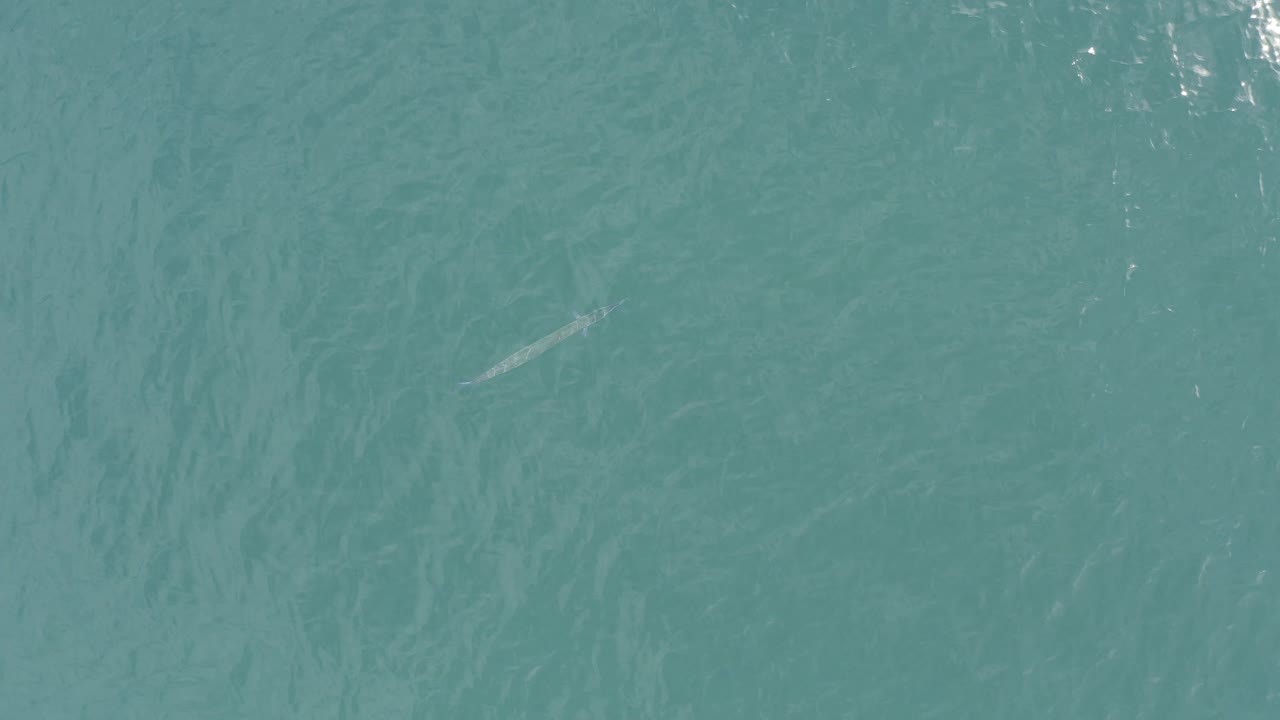 Overhead turquoise water in Baja California Sur, Mexico with a small pale fish-like shape higher in the frame and no visible people.