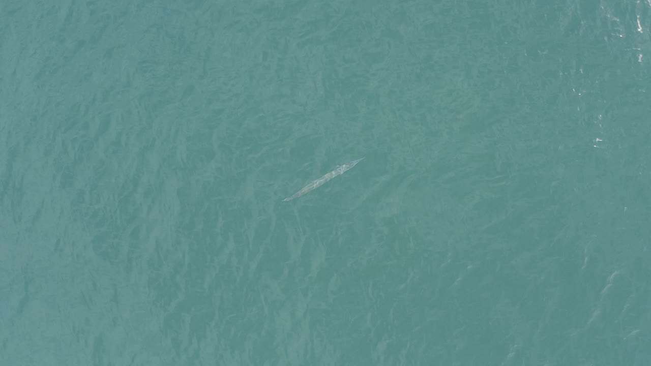 Top-down aerial view of turquoise ocean in Baja California Sur, Mexico, with soft surface ripples and no visible people.