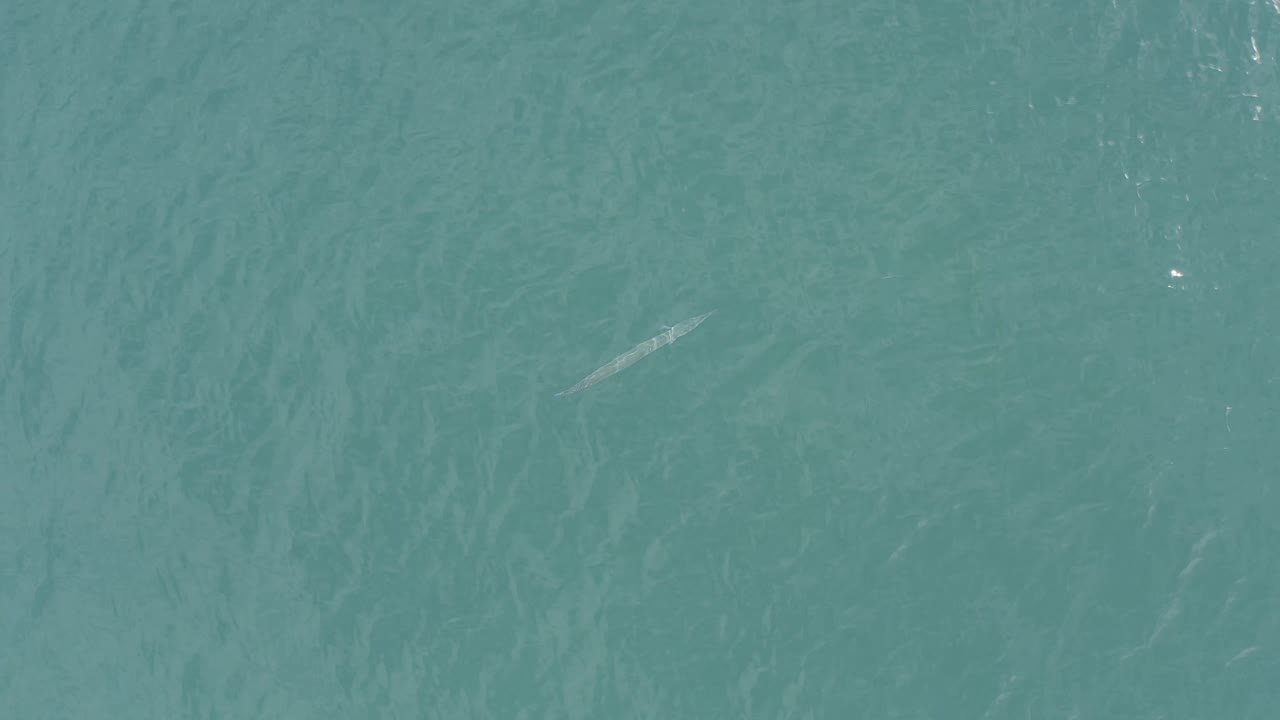 Blue-green water with a faint pale streak near the upper left