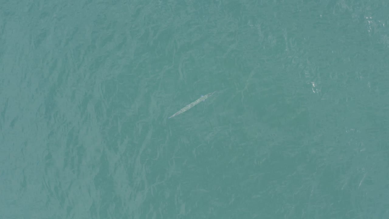 Overhead view of turquoise ocean in Baja California Sur with small bright glints on the water and no visible people.
