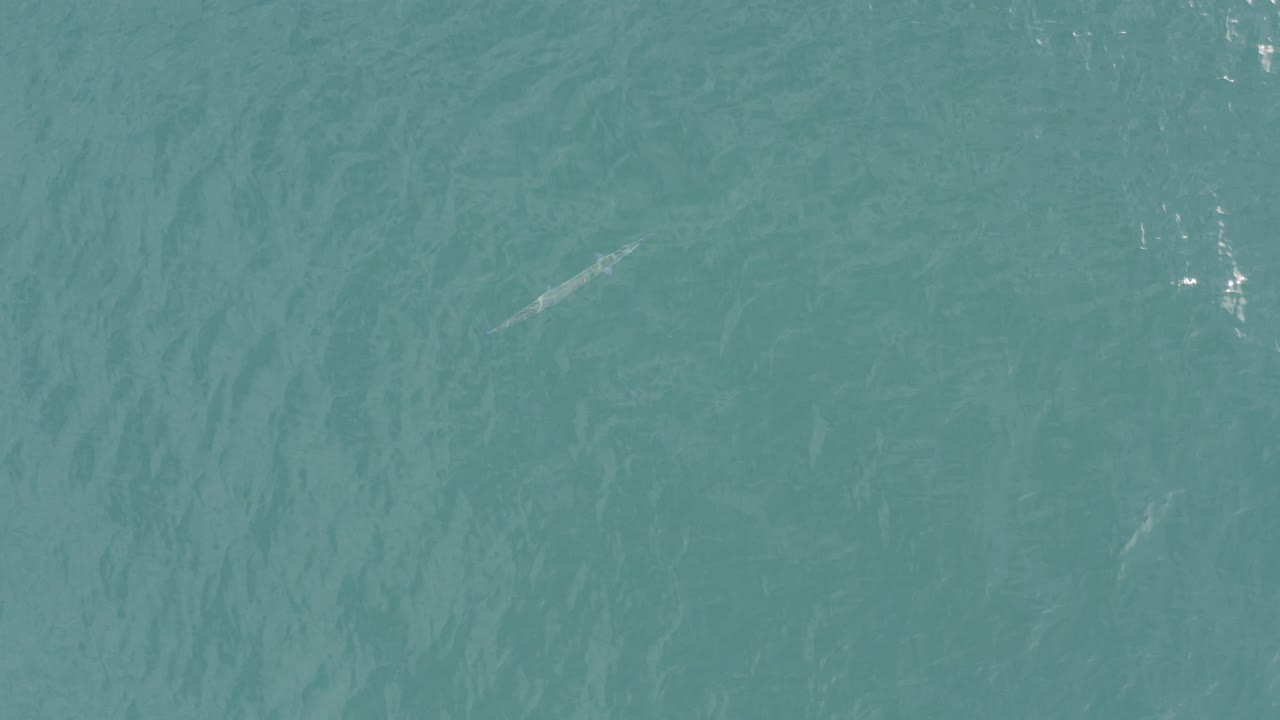 Overhead turquoise water in Baja California Sur, Mexico, with rippled surface texture, a faint pale submerged shape near the upper frame, and no visible people.