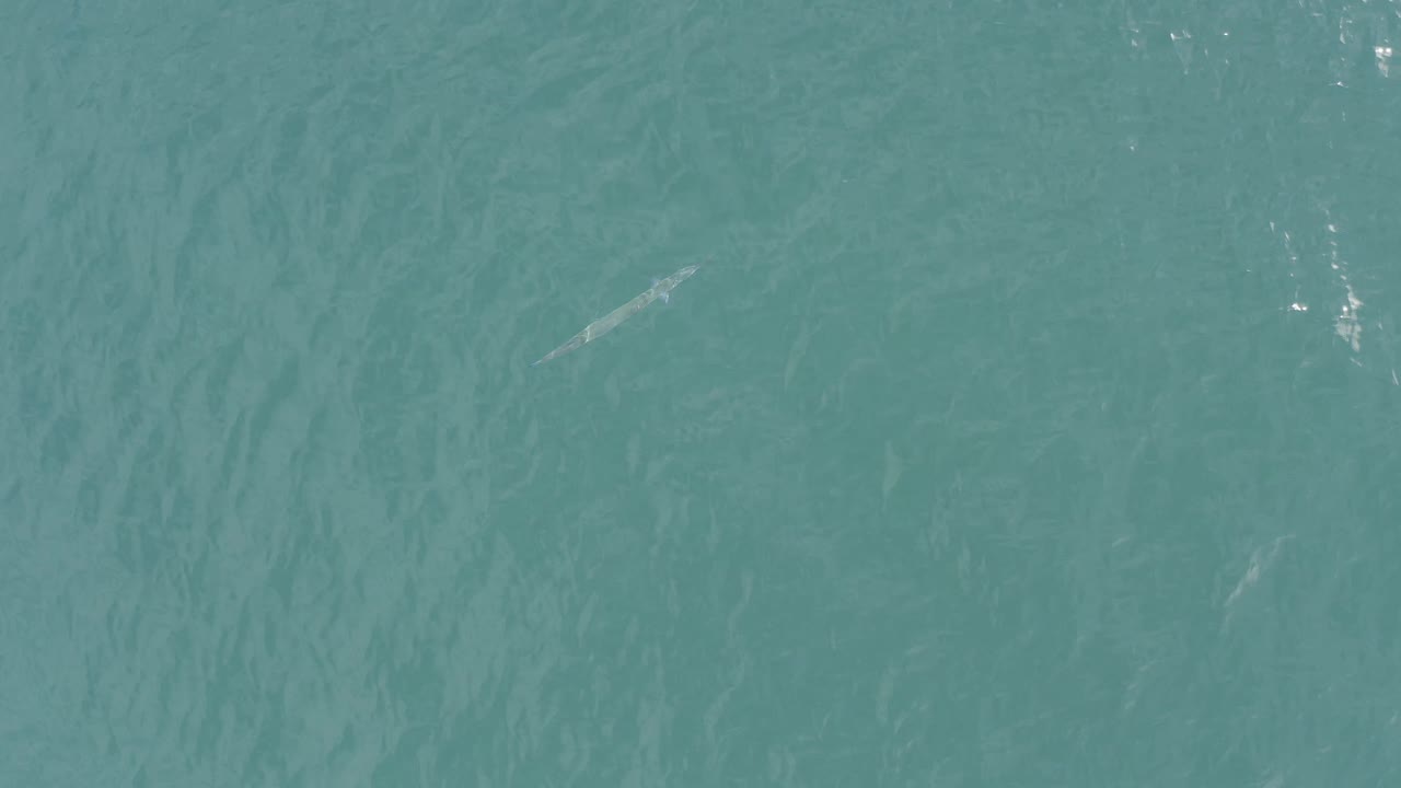 Blue-green ocean water in Baja California Sur, Mexico, fills the frame with soft ripples, small bright surface reflections, and no visible people.