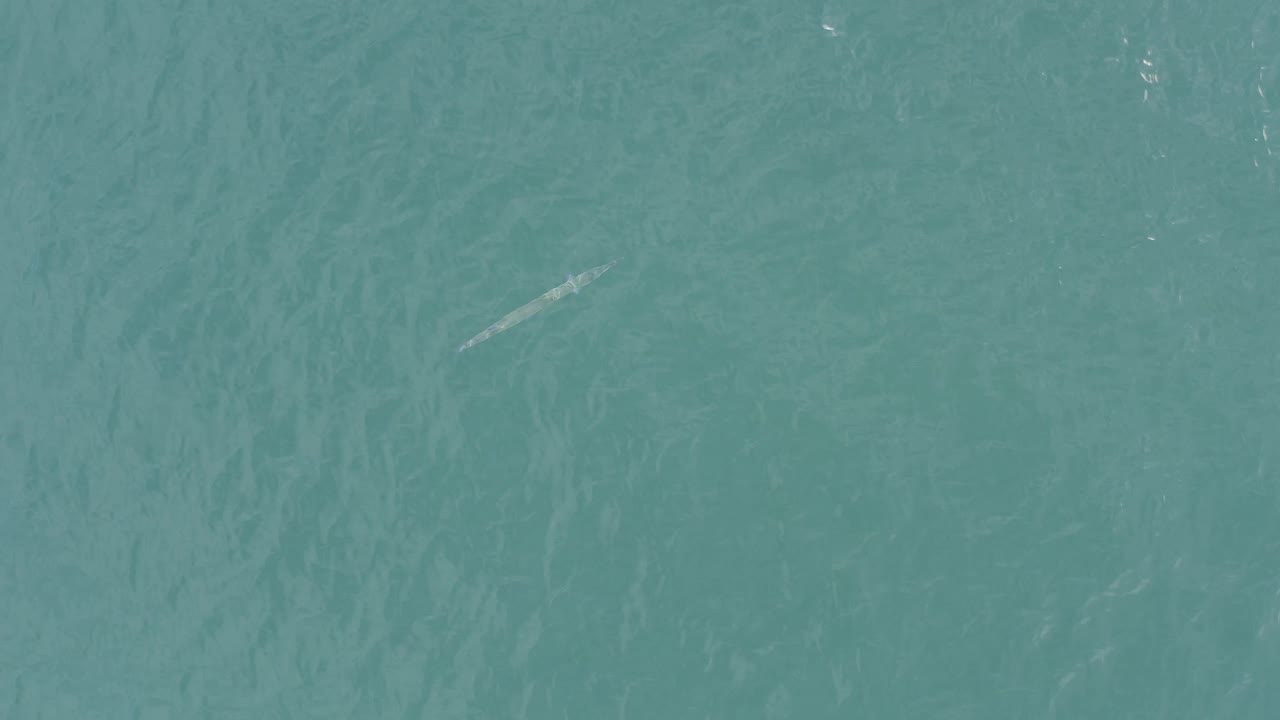 Overhead Baja California Sur ocean water shows rippled turquoise surface, faint darker streaks, a subtle submerged form below center, and no visible people.