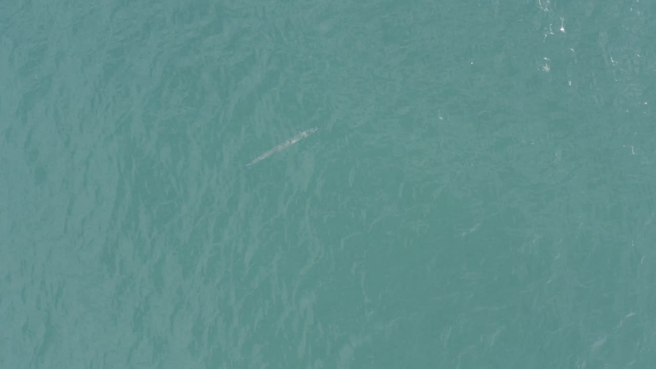Straight-down view of turquoise ocean water in Baja California Sur with faint ripples, small pale fish-like marks, and no visible people.
