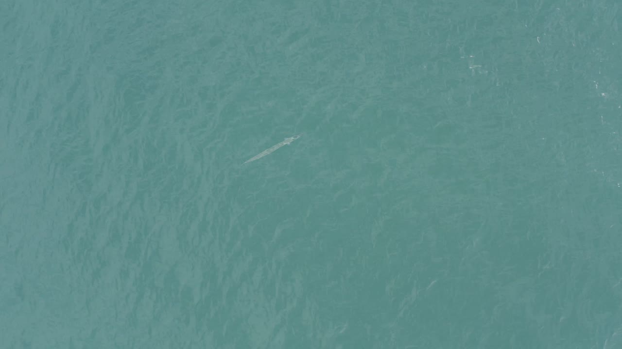 Aerial view over Baja California Sur water with teal color, subtle wave lines, one clearer pale fish-like streak near the upper right, and no visible people.