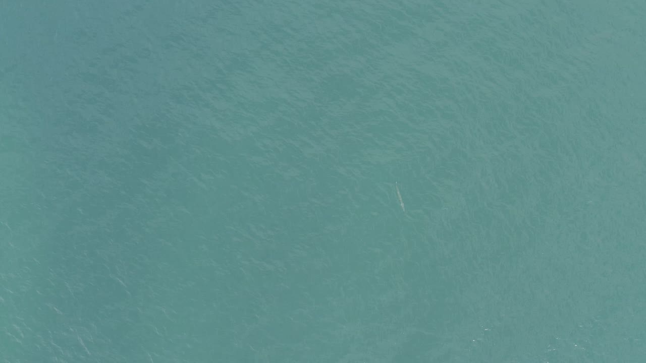 Blue-green ocean surface with faint ripples and no visible people.
