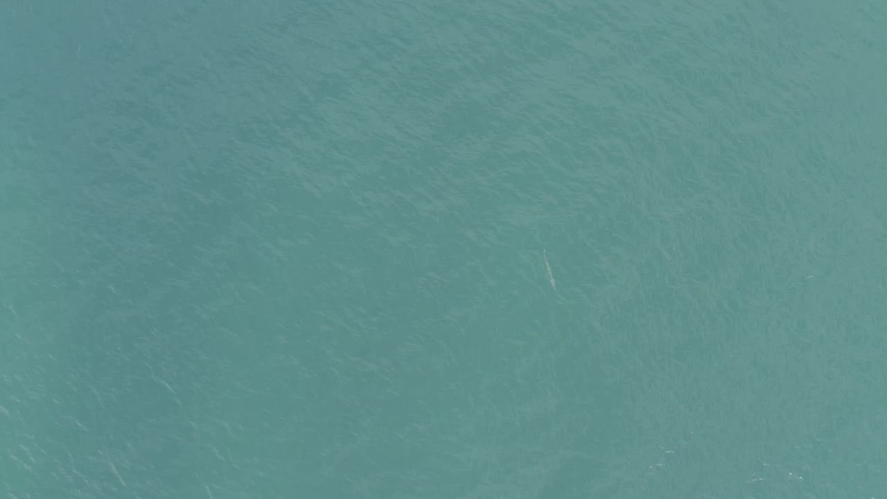 Turquoise ocean water in Baja California Sur, Mexico, with small white light streaks crossing the surface and no visible people.
