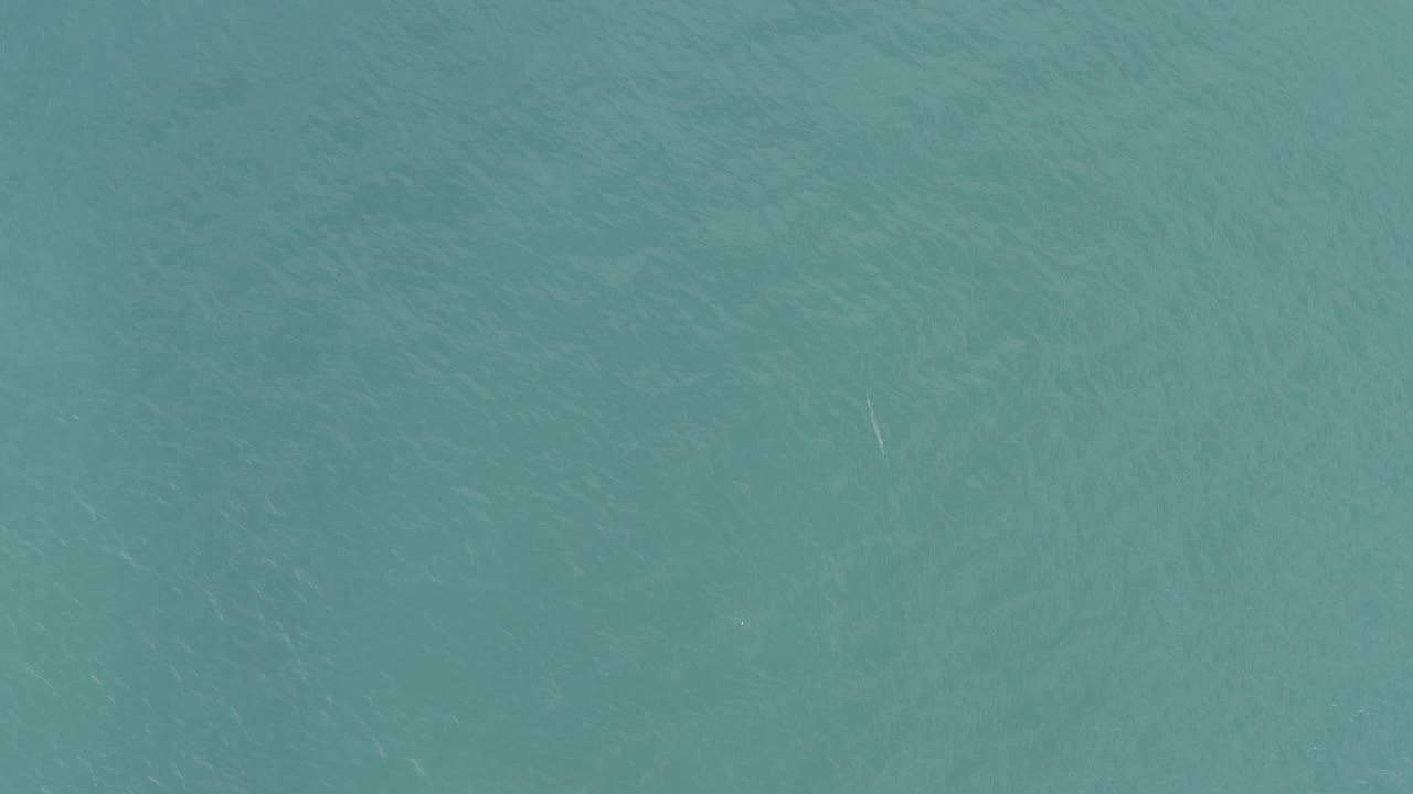Aerial-looking view of blue-green ocean in Baja California Sur, Mexico, with lightly shifting wave texture and no visible people.
