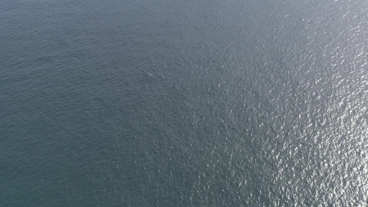 Aerial frame of East Cape ocean water, mostly open ripples with a bright silver reflection near the right side and no visible people.
