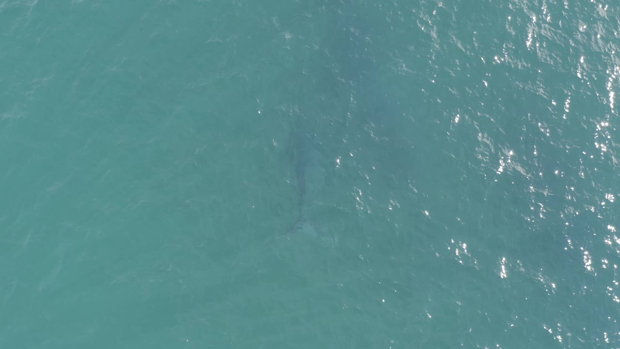 Teal ocean surface in Baja California Sur, Mexico, with bright reflected highlights and a faint fish-like shadow below the water, with no visible people.