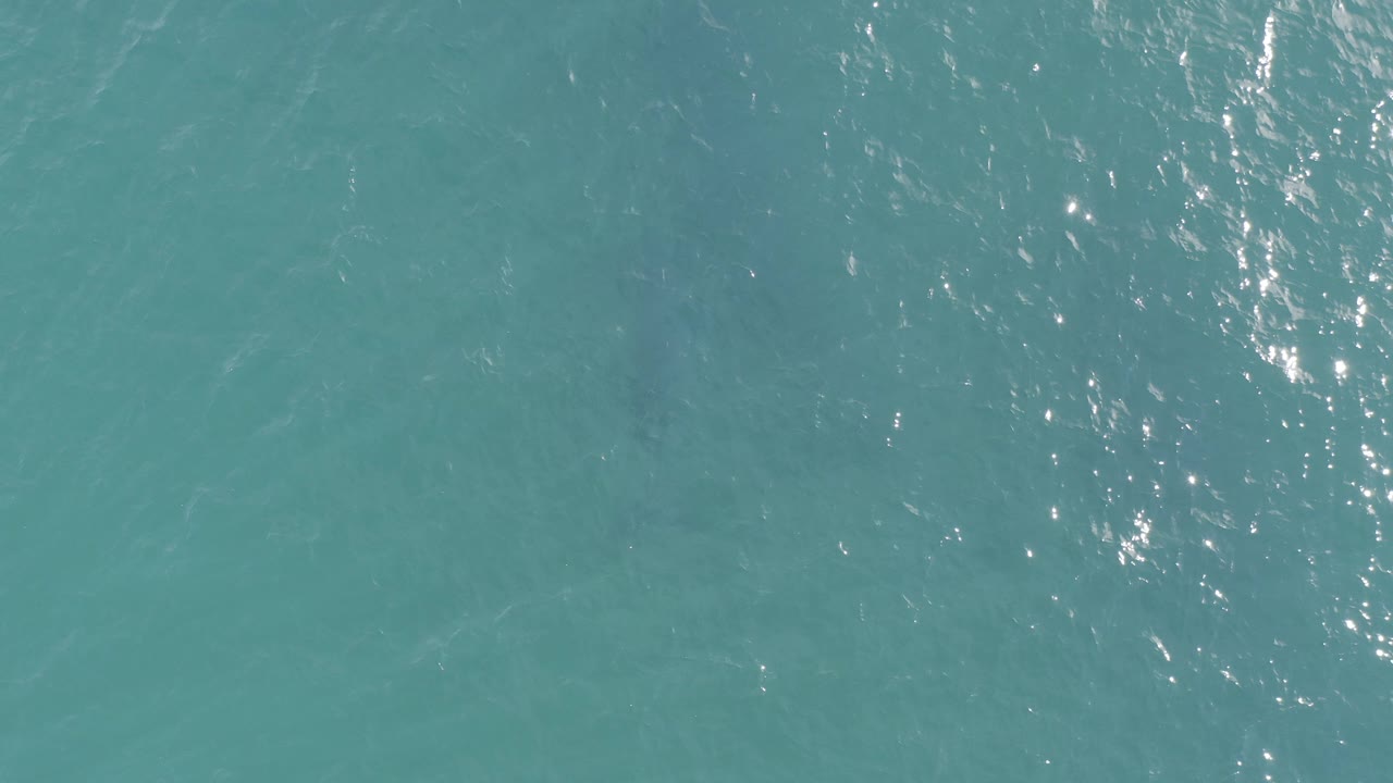 Overhead turquoise ocean water in Baja California Sur, Mexico, with scattered sun reflections near the upper left and no visible people.