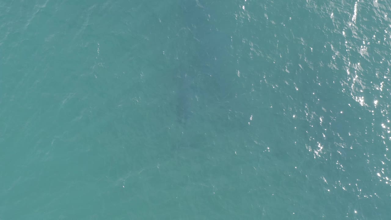 Blue-green ocean surface in Baja California Sur, Mexico, with a vertical cluster of bright reflected light and no visible people.
