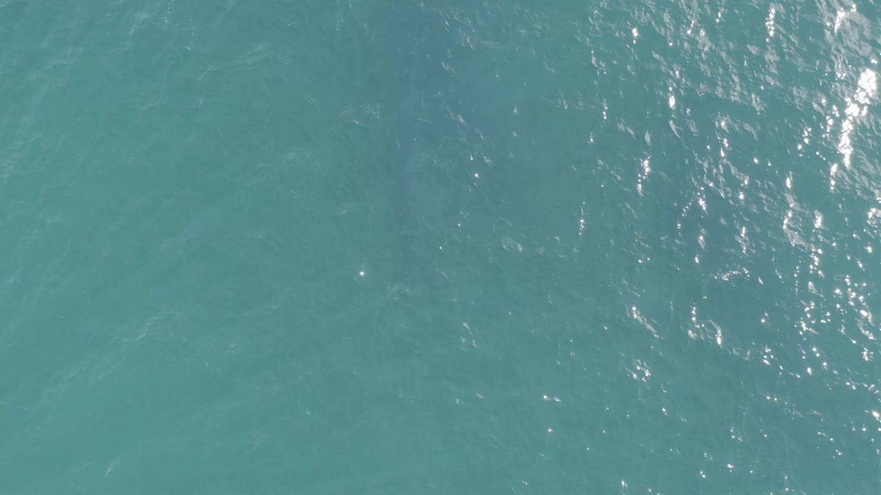 Overhead sea water in Baja California Sur, Mexico, with gentle ripples, faint darker shapes below the surface, and no visible people.