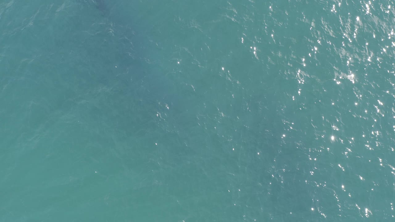 Overhead view of blue green ocean in Baja California Sur, Mexico, with scattered sun reflections near the upper right and no visible people.