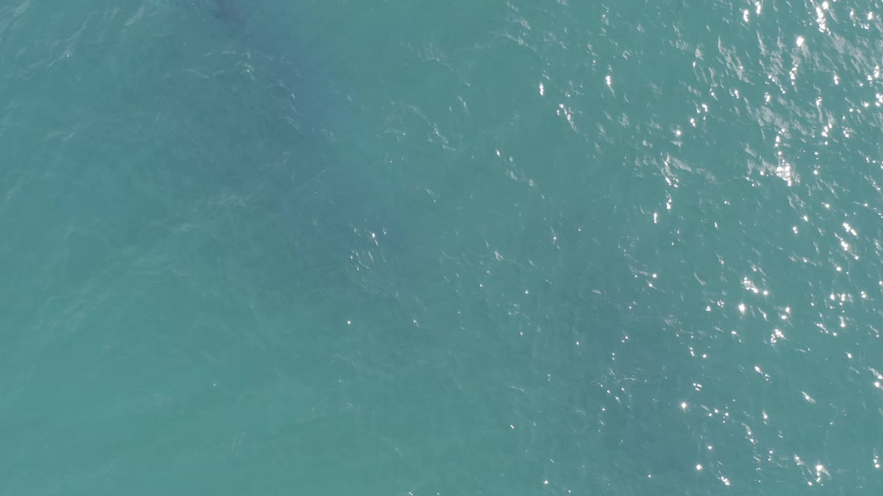 A straight-down frame of turquoise ocean in Baja California Sur, Mexico, showing fine ripples, muted underwater patches, and no visible people.