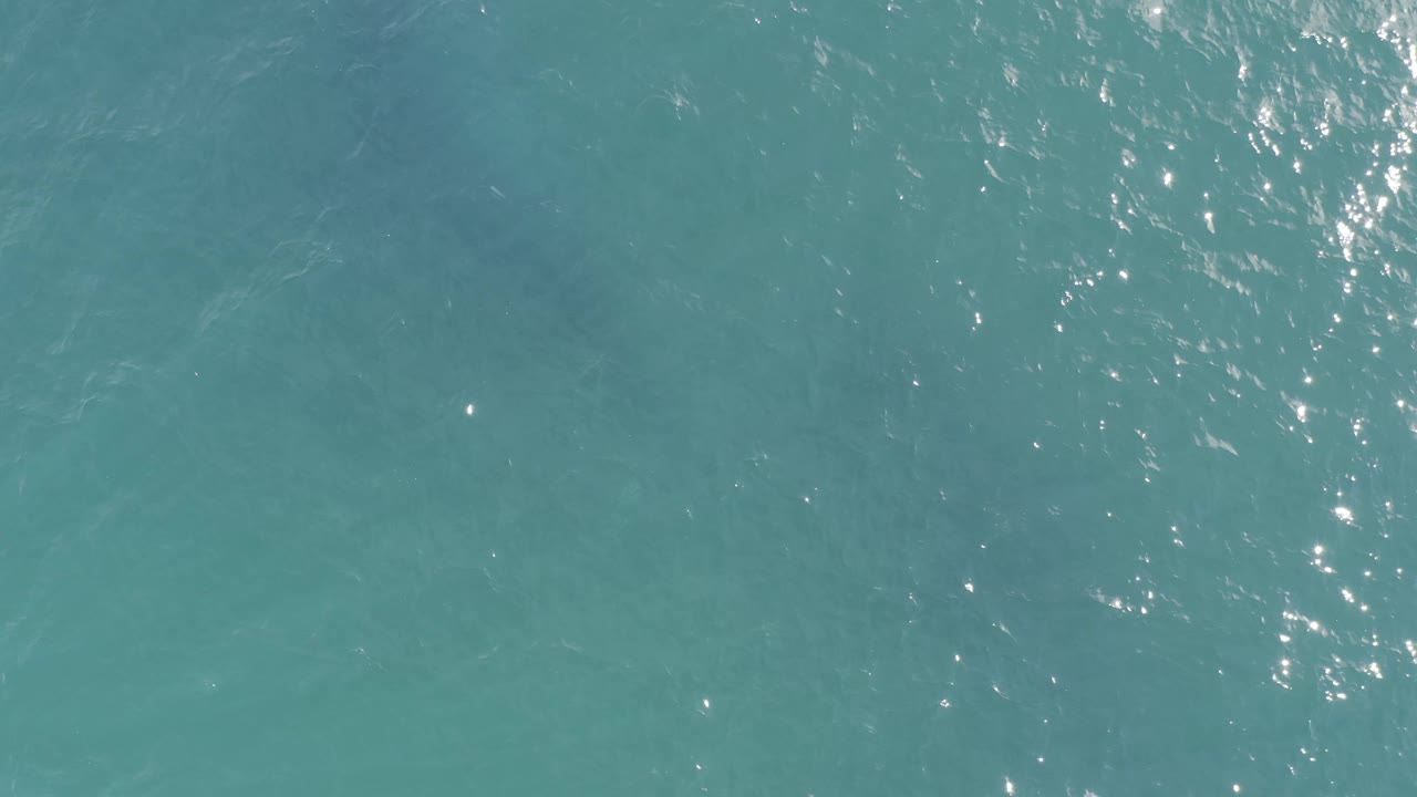 Blue green ocean fills the frame in Baja California Sur, Mexico, with a denser band of bright reflected sunlight across the upper half and no visible people.