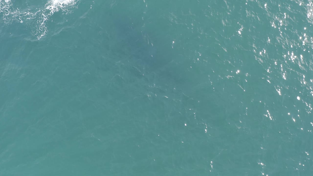 Overhead Baja California Sur ocean frame showing turquoise water, bright highlights across the upper half, faint wave texture, and no visible people.