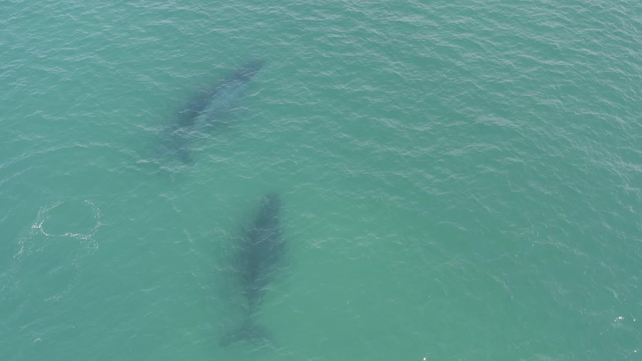 Aerial frame over Baja California Sur water showing a larger dark underwater shape near the center and faint ripples across the surface, with no visible people.
