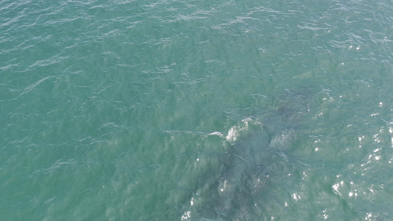 Turquoise ocean surface with foam streaks and muted underwater shadows.
