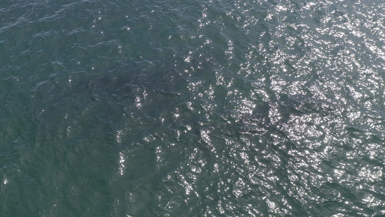 Top-down view of teal ocean water in Baja California Sur, Mexico, with scattered bright reflections and no visible people.