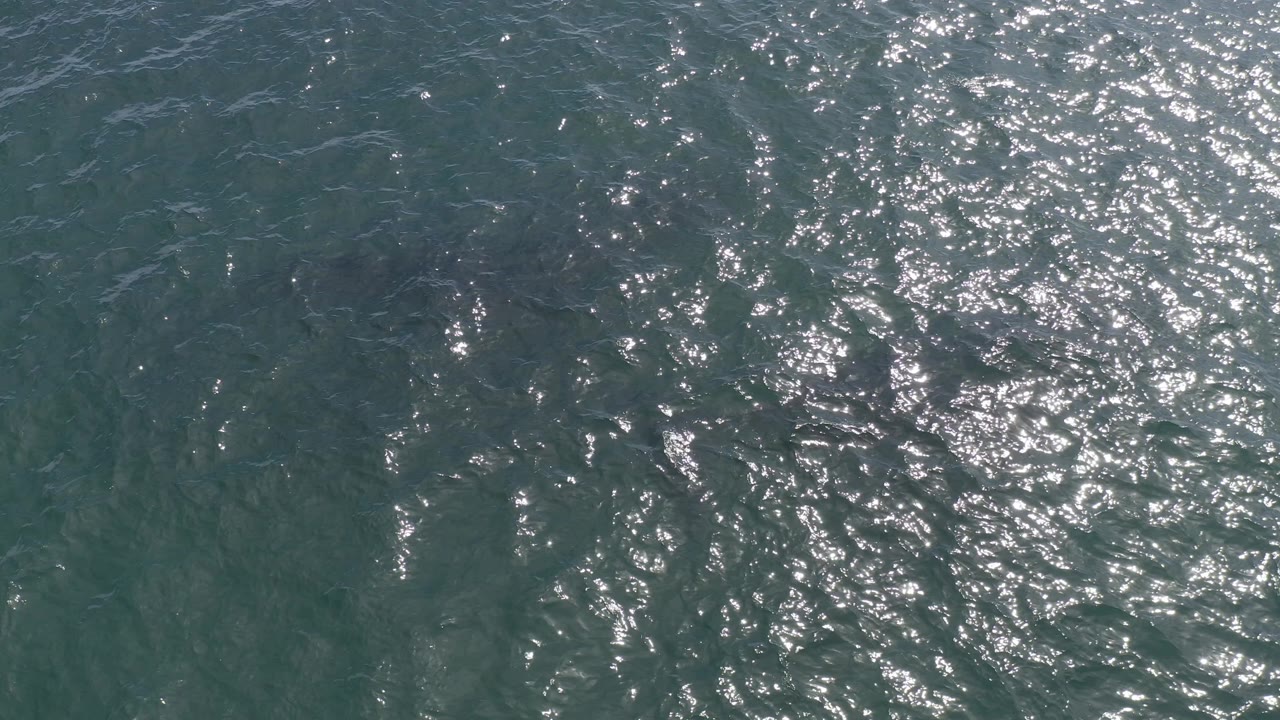 Overhead Baja California Sur sea surface with a denser cluster of white sun glints near the upper right and no visible people.