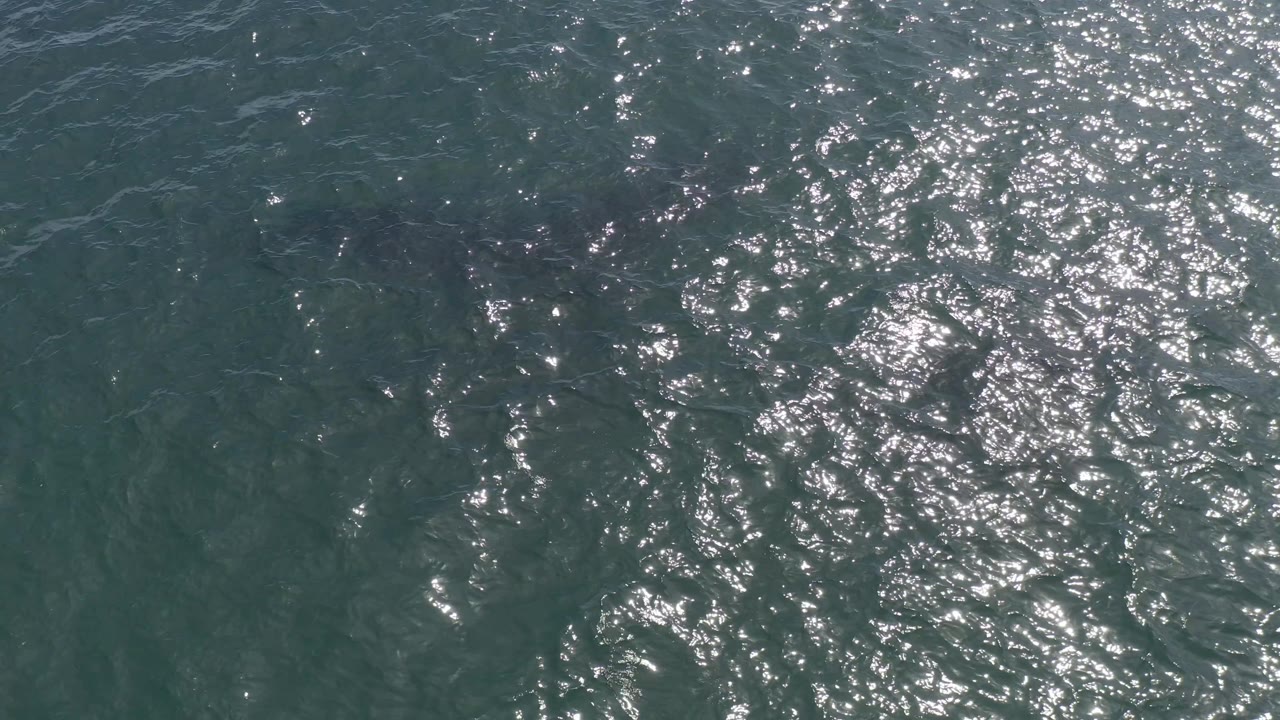 Aerial-style view of Baja California Sur ocean water with a bright band of sun reflection crossing the center and no visible people.