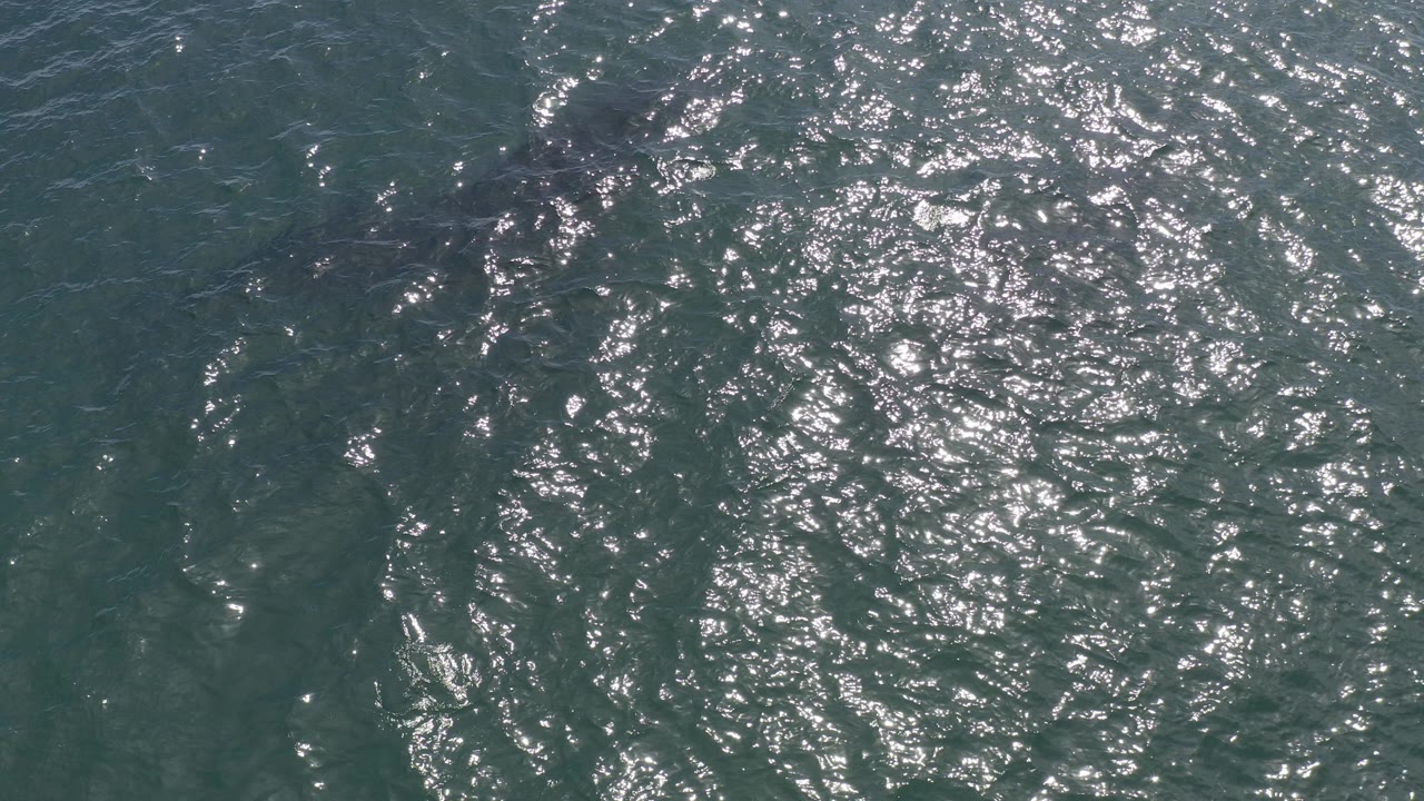 Top-down aerial view of teal ocean water in Baja California Sur, Mexico, with scattered silver reflections and no visible people.