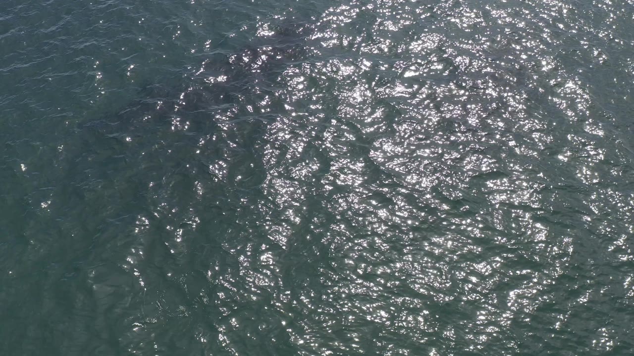 Overhead Baja California Sur ocean view with bright reflected light concentrated across the upper water surface and no visible people.