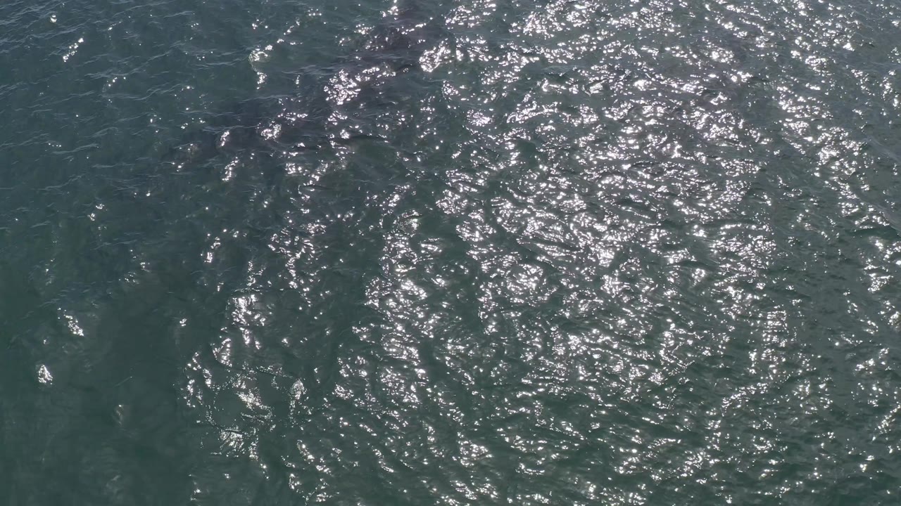 Top-down ocean frame from Baja California Sur, Mexico, showing sparkling surface glare over green-blue water with no visible people.