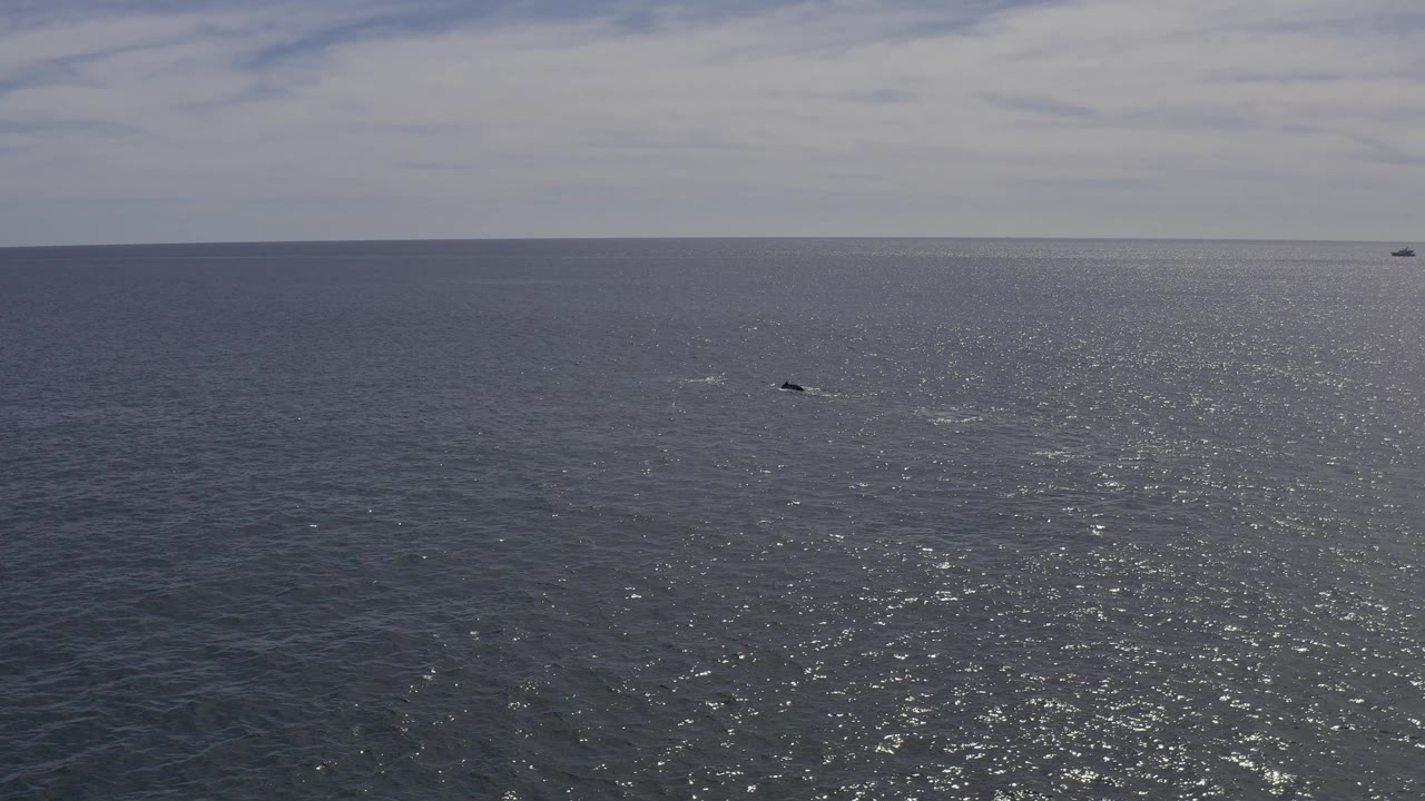 Open gray-blue water in Baja California Sur, Mexico, with a level horizon, hazy sky, scattered sun glitter, a tiny distant speck near the horizon, and no visible people.