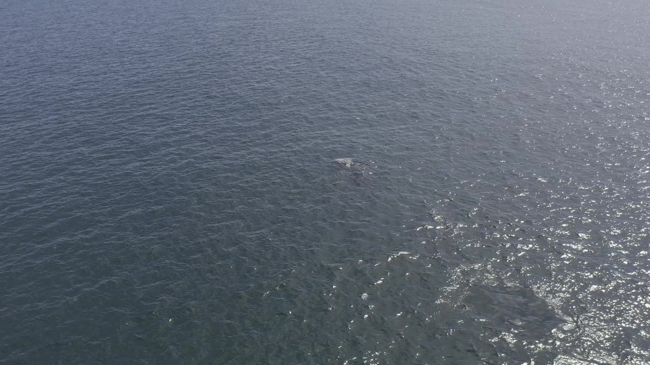 Aerial frame over Baja California Sur water with a pale splash or wake patch near the left side and bright sun glitter through the center, no visible people.