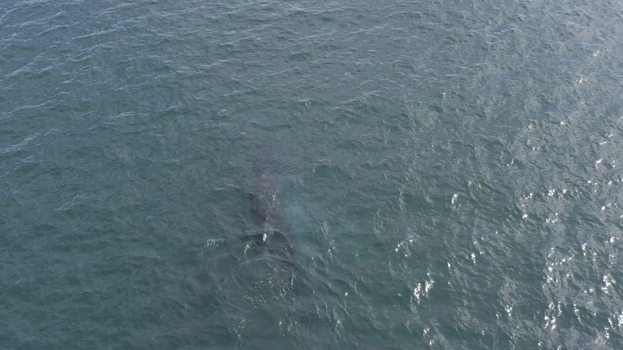 Aerial-looking view in Baja California Sur, Mexico where the gray underwater silhouette appears near the center-right under choppy blue-green ripples, with no visible people.