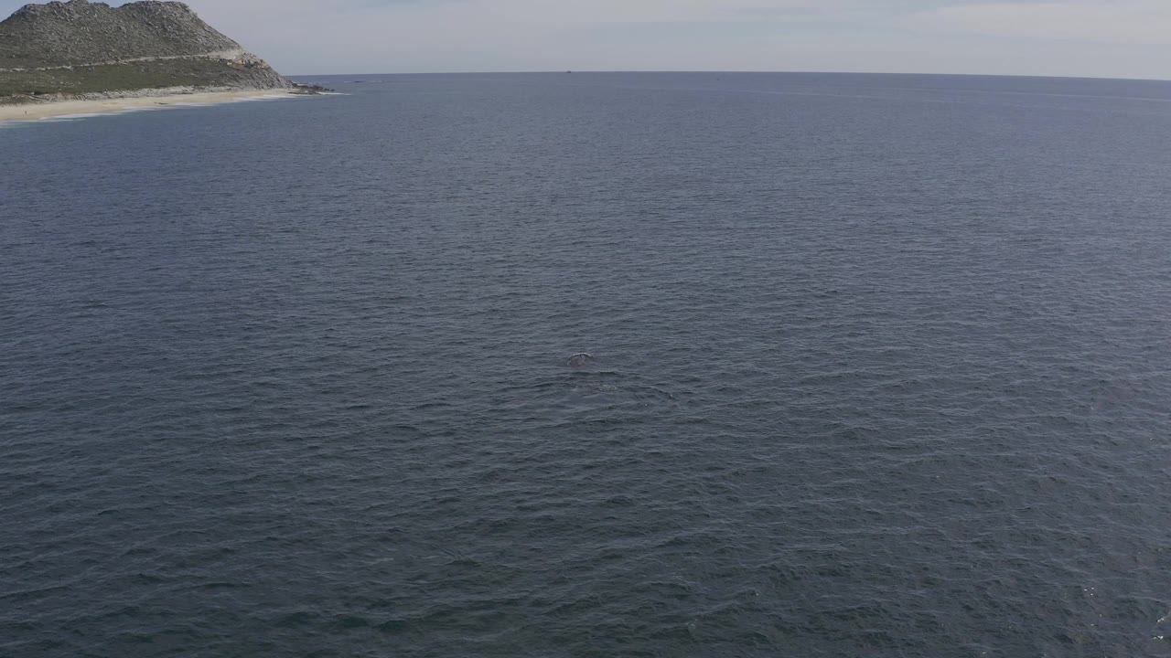 Aerial frame over open ocean in Baja California Sur, Mexico, with a distant sandy coastline and low hill at upper left and no visible people.