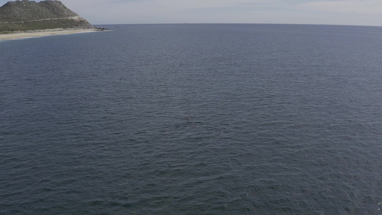 Aerial view in Baja California Sur, Mexico, showing dark rippled ocean, a high horizon, and the coastline receding at the upper left with no visible people.