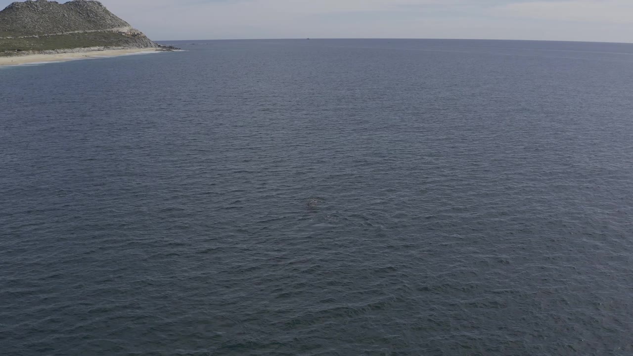 Drone-height view over Baja California Sur water, with textured blue ocean filling the frame and a distant coastal hill at the top left, no visible people.