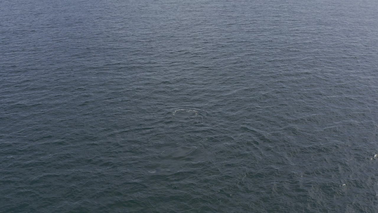 Blue green ocean surface in Baja California Sur, Mexico with a faint pale irregular pattern near the center and no visible people.