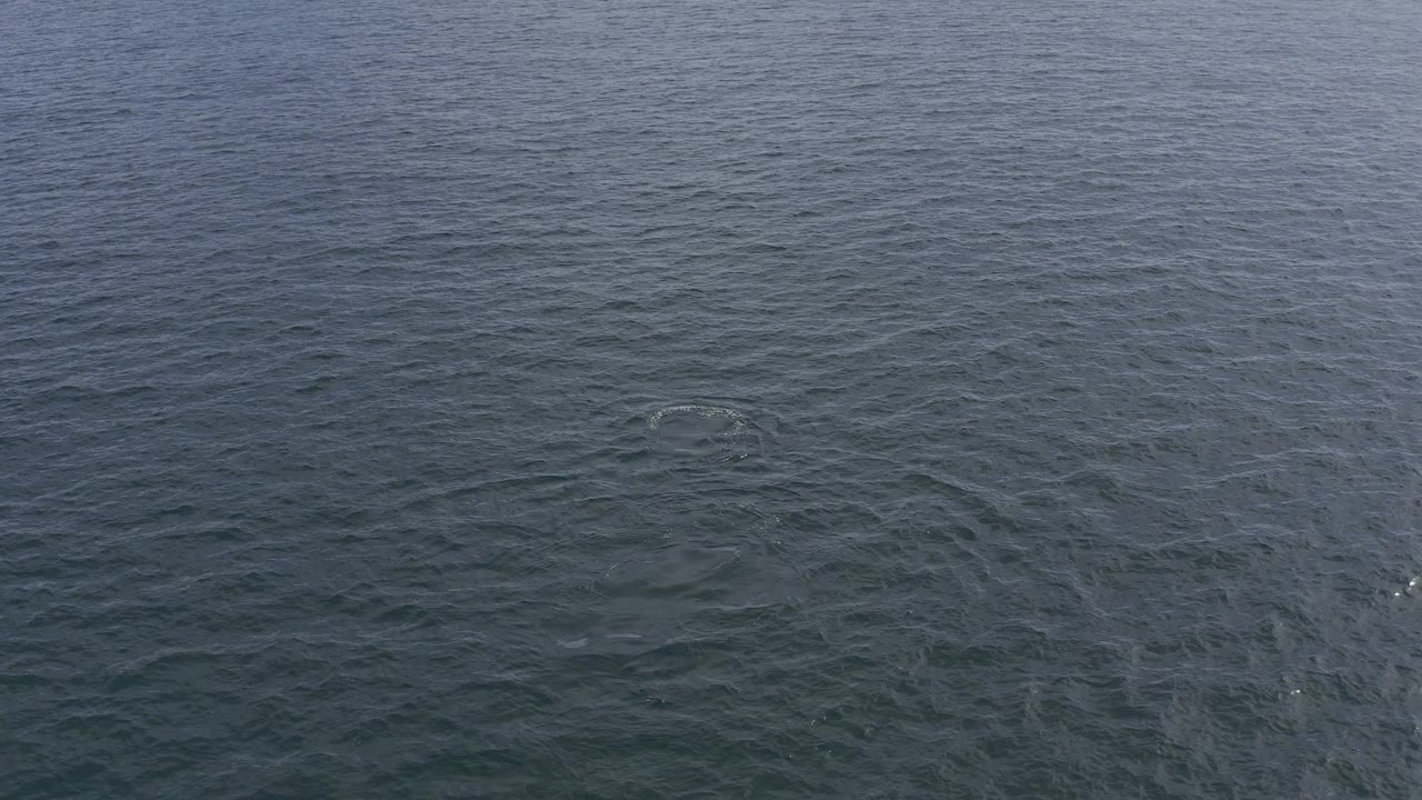 Rippling ocean water with light-toned current shape