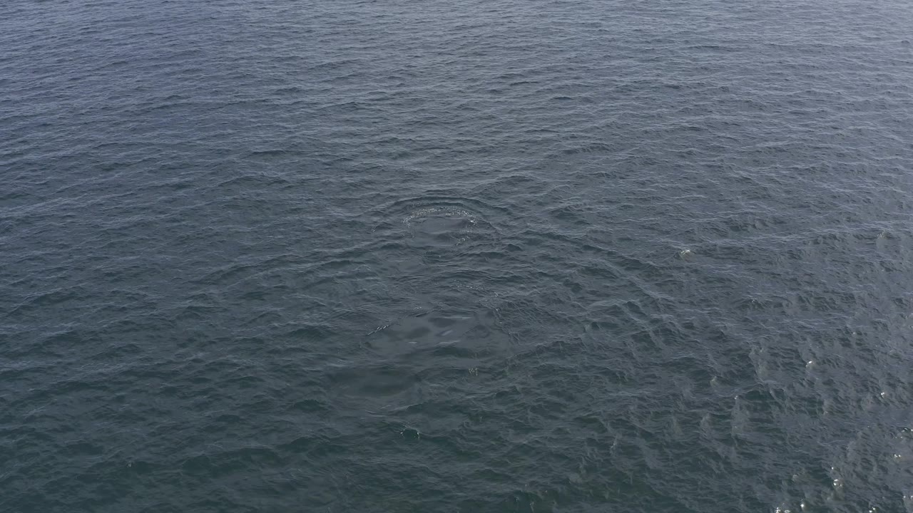 Dark blue ocean surface in Baja California Sur, Mexico with pale streaks and a soft irregular shape across the water, with no visible people.