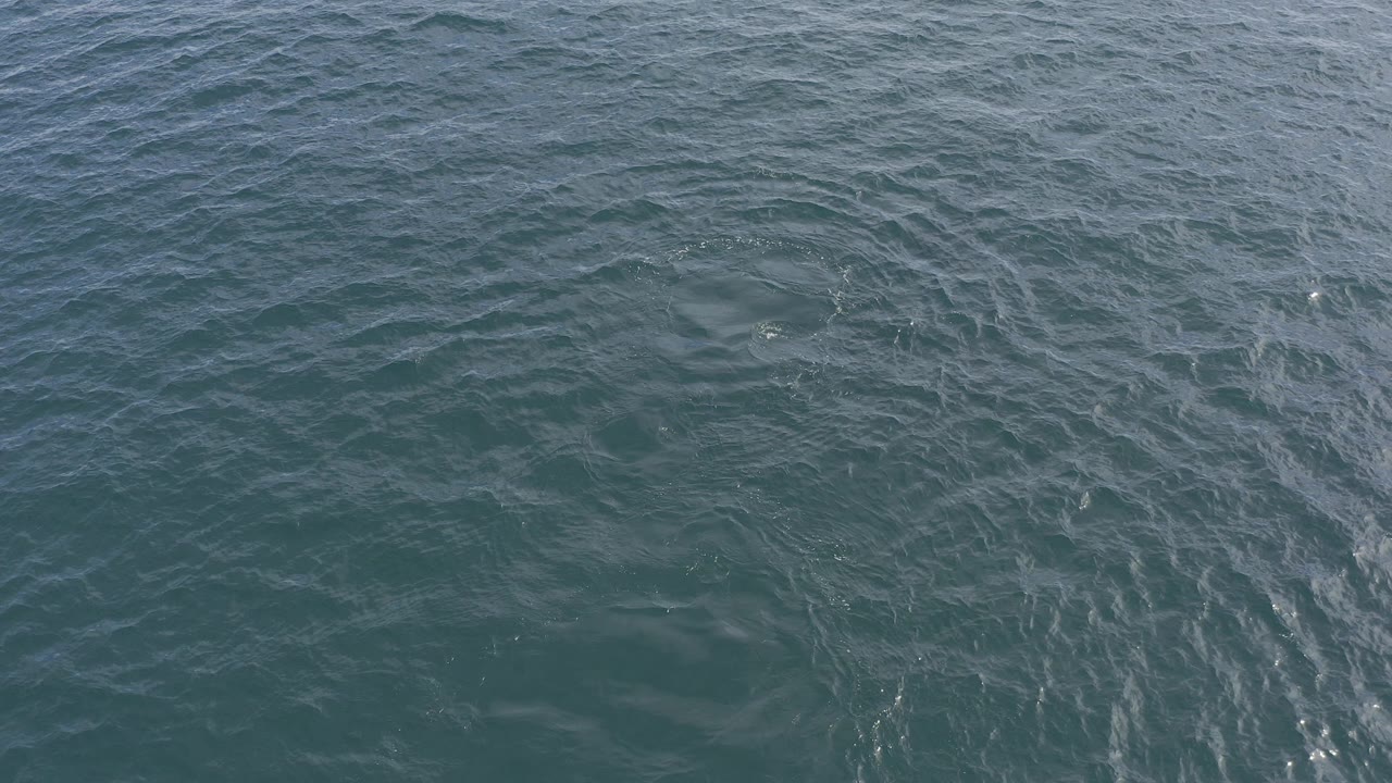 Dark teal ocean surface with ripples and pale streaks