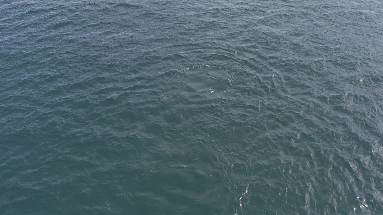 Open water in Baja California Sur, Mexico, shows diagonal pale streaks across a blue green surface, with no boats, shoreline, or visible people.