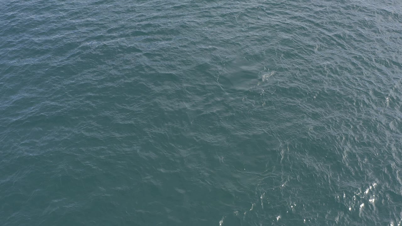Teal ocean surface with choppy ripples and bright water glints.