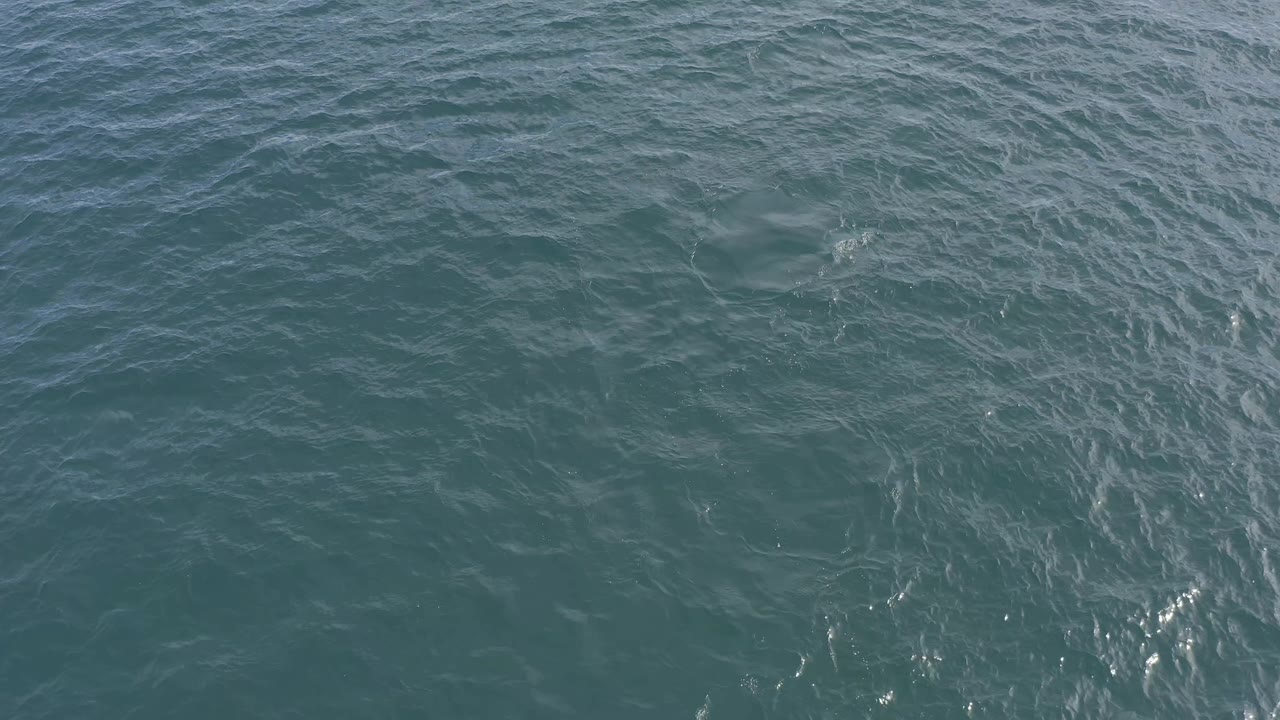 Second frame shows dark teal ocean surface in Baja California Sur, Mexico, with fine wave ridges, a small bright glint near the lower edge, and no visible people.