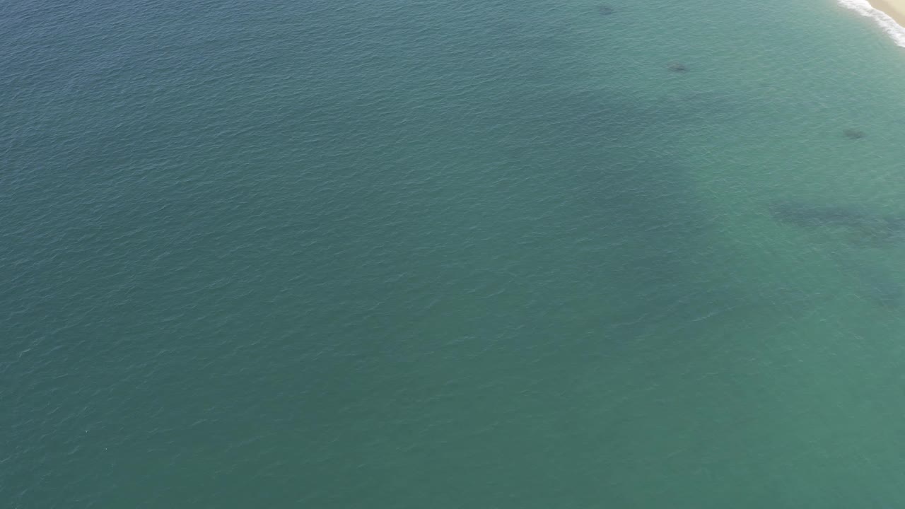 Aerial view over Baja California Sur turquoise water, with several small dark gray shapes under the surface, fine wave lines, and no visible people.