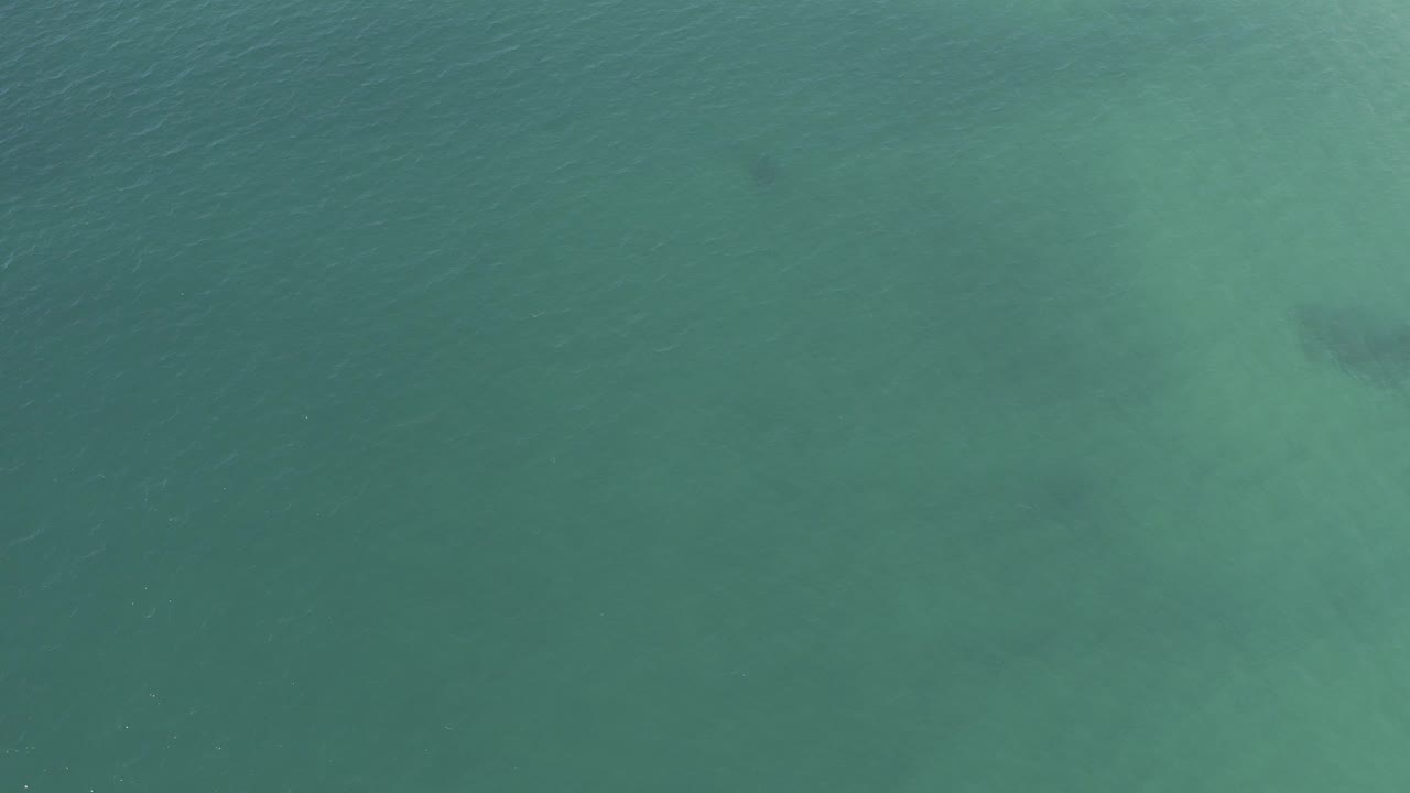 Overhead view of teal water in Baja California Sur Mexico with pale underwater sand patches, faint dark fish-like shapes near the upper frame, and no visible people.