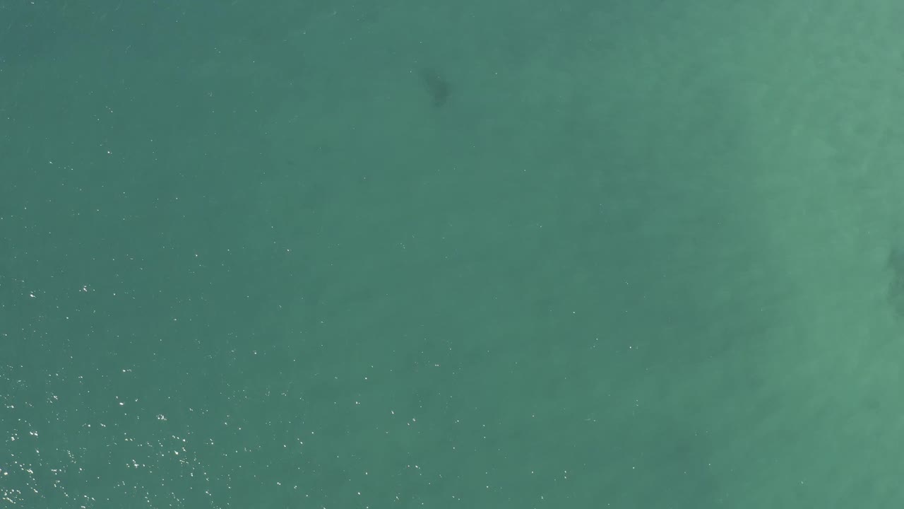 Top-down Baja California Sur ocean frame with mottled blue-green water, a soft darker patch near the lower center, and no visible people.