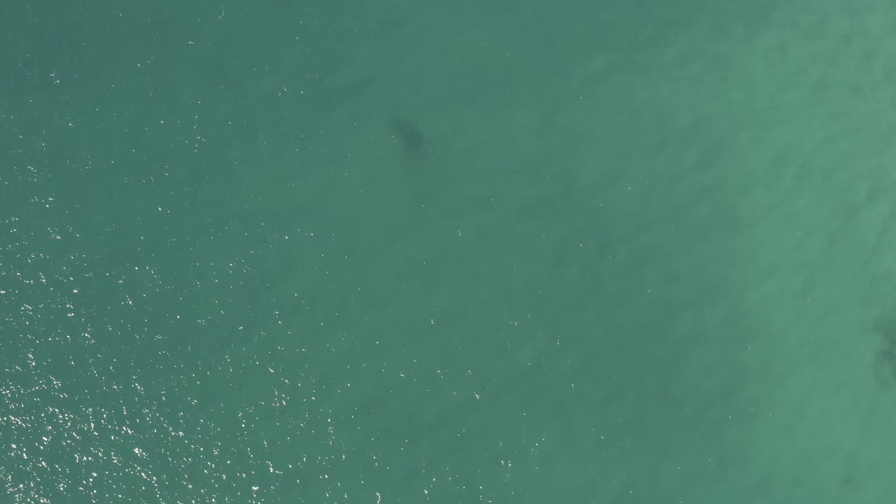 Top-down ocean view in Baja California Sur, Mexico, showing darker teal patches under the surface, light ripples, and no visible people.